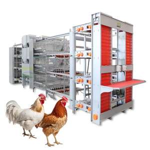 Vente Chaude <span class=keywords><strong>Cage</strong></span> Automatisée pour Poules Pondeuses Équipement d'Élevage Avicole Batterie de Cages pour Ferme Avicole - Product Image 4