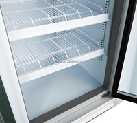 Congélateur vertical commercial 958L pour fruits de mer, refroidissement par air, double porte vitrée, pour bœuf et crème glacée, approvisionnement en gros