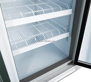 Congélateur vertical commercial 958L pour fruits de mer, refroidissement par air, double porte vitrée, pour bœuf et crème glacée, approvisionnement en gros - Product Image 3