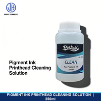 PrinthLiquid 250ml Solution de nettoyage de tête d'impression pour encres pigmentées, à base d'eau, éco-solvant et UV, nettoyant pour têtes d'impression