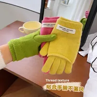 Gants décontractés pour femmes, double couche, automne-hiver, cinq doigts, tricotés, épais, chauds, résistants au froid et au gel, séchage rapide