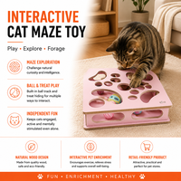 Jouet labyrinthe pour chat avec balles de catnip, jouet interactif pour chat d'intérieur