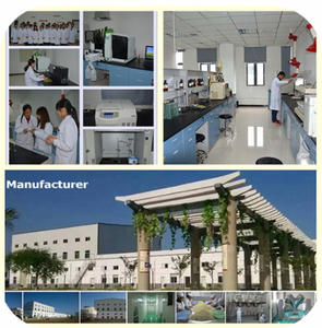 Top-Bán Trong 2025 LifeCare Mỹ Phẩm Cấp Nguyên Liệu Tự Nhiên Bơ Ca Cao Cho Chăm Sóc Cơ Thể Với Cao Cấp Ca Cao Thành Phần - Product Image 5