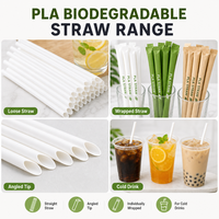 Pailles à boire biodégradables PLA emballées individuellement pour les boissons froides, utilisation en fête