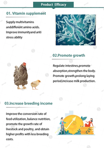 Vitamine pour volailles, vitamine E et sélénium, liquide oral pour volailles, liquide oral pour poulets - Product Image 6