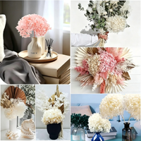 Hydrangea miniature préservée de qualité supérieure, fleurs éternelles à tige unique pour centre de table élégant de mariage et décoration intérieure de fête