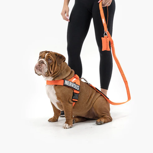 カスタム ラグジュアリー タクティカル トレーニング ドッグハーネス セット ナイロン製 反射素材 伸縮チェーン パーソナライズ ペットリード 卸売 ペット用品 - Product Image 2