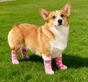 Chaussettes pour <span class=keywords><strong>chien</strong></span> doublées Sherpa <span class=keywords><strong>Chaleur</strong></span> et douceur ultimes - Product Image 6