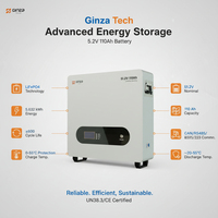 Système de stockage d'énergie domestique mural 51,2 V 110 Ah LiFePO4 Split CAN 5 kWh 6000 cycles, batterie solaire au lithium