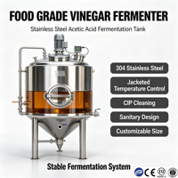 Fabricante OEM: Tanque de Fermentación Industrial Aislado con Revestimiento de Acero Inoxidable 316L, 200L, Certificado CE