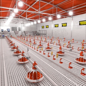 Hiện đại hoàn toàn tự động gia cầm Thiết bị nông nghiệp cho gà trang trại Gà Thịt tầng nâng cao - Product Image 5