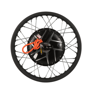 Moteur BLDC 213 Spoke Motor Factory en promotion pour moteur de moyeu à jante nue 213 Spoke Motor - Product Image 1