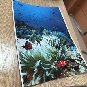 China Manufacturer 180g <b>A3</b> Glossy Professional Photo <b>Paper</b> - Product Image 5