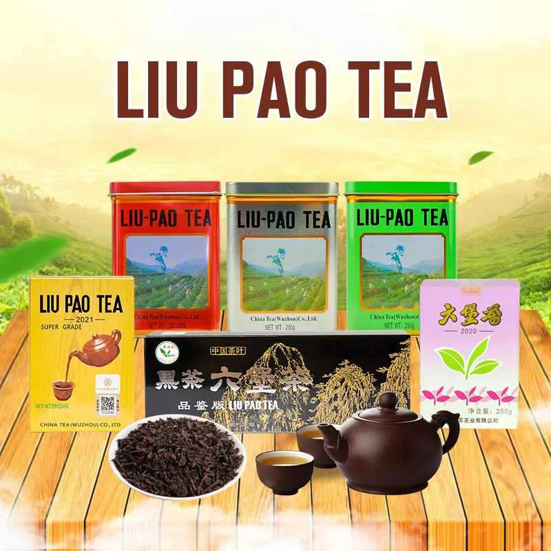 GX11 toptan fabrika fiyat pazarlık cha çin liupao koyu çay 30kg toplu süper sınıf liupao Liu Pao çay sıkıştırılmış çay