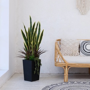 <span class=keywords><strong>OH</strong></span> ARTS Plante Serpent Artificiel Plante Plastique Faux Vert Jaune Dongguan Usine pour Fournitures de Jardin Décoration - Product Image 2