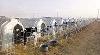 Abri/Boîte d'élevage en plastique pour veaux et vaches, usage extérieur, prix abordable