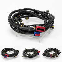 Harness Mesin Pengganti Lengkap Dengan Kabel Ecu dan Kabel Injeksi Bahan Bakar untuk Proyek Perbaikan Mobil Bensin