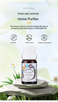 6 pièces * 10ml humidificateur d'aromathérapie soluble dans l'eau plante aromatique naturelle fruits Orange diffuseur huile essentielle coffret cadeau