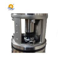 Pompe submersible électrique en acier inoxydable de 4 à 12 pouces, anti-corrosion, pour puits profonds, SS304 SS316 SS316L, acier duplex SS2205