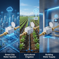 Compteur de débit ultrasonique haute précision NB-IoT avec système de contrôle à distance de la vanne pour l'alimentation en eau des villes intelligentes IP68