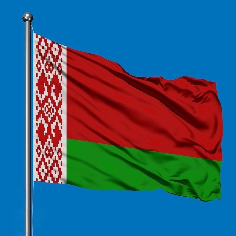 Professionele Fabriek Maliang Hoge Kwaliteit Bedrukt 3x5ft Polyester Belarus Vlag De Republiek Van Belarus Vlag