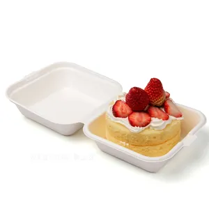 Manufacturer Bagasse Cake Box Bio-degradable Bagasse Cake Tray Packaging Food Container