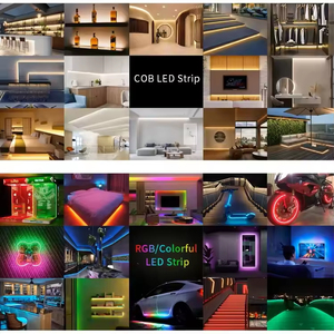 Precio al por mayor COB LED 4MM 5/12v/24V 6500K conmutador de color para habitación y paisaje con WIFI - Product Image 6