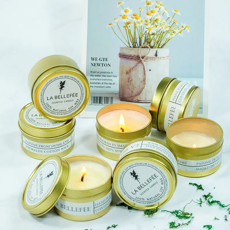 Wholesale Custom Soy Wax Scented Tin Private label Candle for home decor