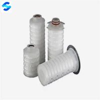 Cartouche filtrante PES mini certifiée CE à filtration absolue 0,22 µm 0,45 µm 2,5 pouces avec adaptateur SK/Baïonnette