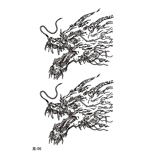 Dragon-06