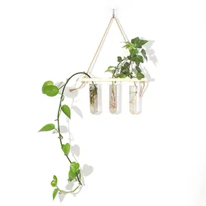 Prix attractif Nouveau type de mini vases en verre de fleurs hydroponiques en céramique moderne à la mode