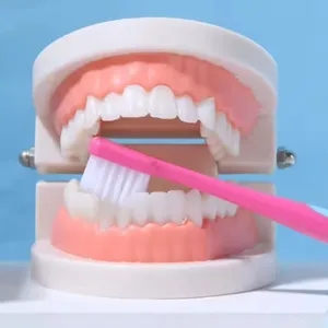Bestseller 3-er Pack kundenspezifische kinderweiche Zahnfleischschutz-Zahnbürste helle Farbe ultraweiche Zahnbürste