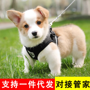 Arnés estilo chaleco para perros, ajustable para perros pequeños, equipo rojo para pasear mascotas - Product Image 5