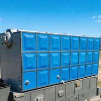Chaudière à vapeur à double tambour SZL de 20 tonnes, brûle la paille et les déchets agricoles, grande adaptabilité au carburant, chauffage