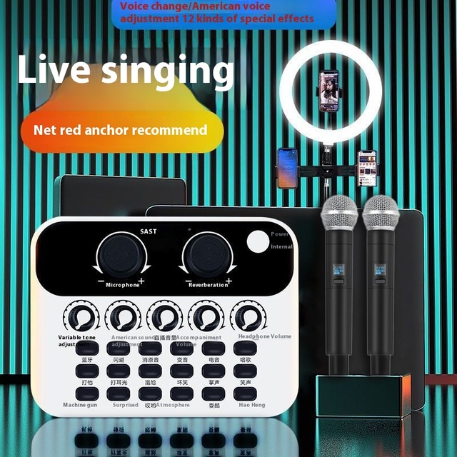 All-In-One Portable Indoor/Outdoor Karaoke Speaker with Noise Cancelling Feature for Kids' Audio Entertainment