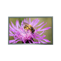 Pantalla LCD para Ordenador Portátil BOE de 18.5 Pulgadas, LED LVDS de 30 Pines, Resolución 1366*768, Tipo LCM DV185WHM-NM1