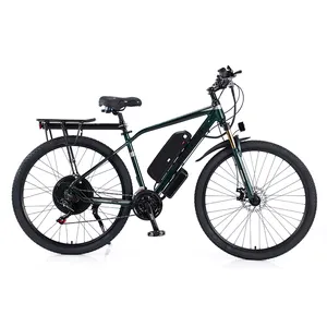 Klasik bisiklet elektrikli bisiklet 29 inç iki tekerlekli şehir ebike yetişkinler için 1000w iki koltuk alüminyum alaşımlı çerçeve