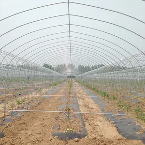 Archi pellicola a effetto serra campata unica tunnel serra di plastica capannone per le verdure