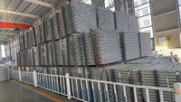 Échelle et pièces d'échafaudage de panneau de plate-forme de passerelle en acier de pédale d'échafaudage à vendre