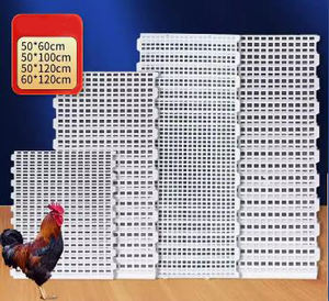 พื้นพลาสติกสำหรับฟาร์มเลี้ยง<span class=keywords><strong>ไก่</strong></span> ผลิตจากวัสดุ PP - Product Image 6