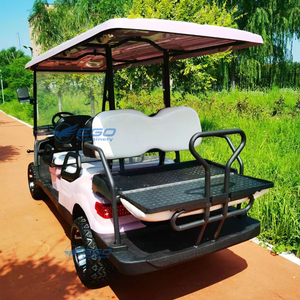 Carrito de Golf Color Blanco Litio, Carrito de Golf Clásico Vintage Rosa, Carrito de Golf Elevado para 6 Pasajeros, Club Car - Product Image 6