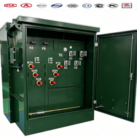 Transformateur triphasé monté sur socle 13,2 kV 480 V 225 kVA 250 kVA immergé dans l'huile, norme ANSI IEEE, transformateur de distribution extérieur