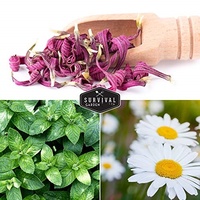 Kit de plantes de jardin en sachet de thé aux 5 herbes biologiques naturelles pour la plantation de thé à domicile, complémenté pour la culture du thé