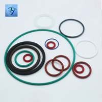 Joints toriques en PTFE plastique sur mesure avec plage de température de -60°C à 120°C pour une utilisation sanitaire et industrielle dans les instruments