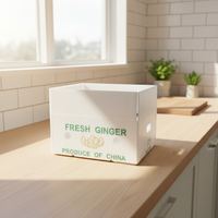 Boîte d'emballage en polypropylène ondulé recyclable et écologique pour l'emballage agricole, caisse à fruits pliable personnalisable