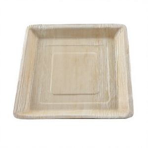 Assiette carrée en papier jetable 10 x 10 pouces pour spaghetti et salade, idéale pour la restauration - Product Image 2