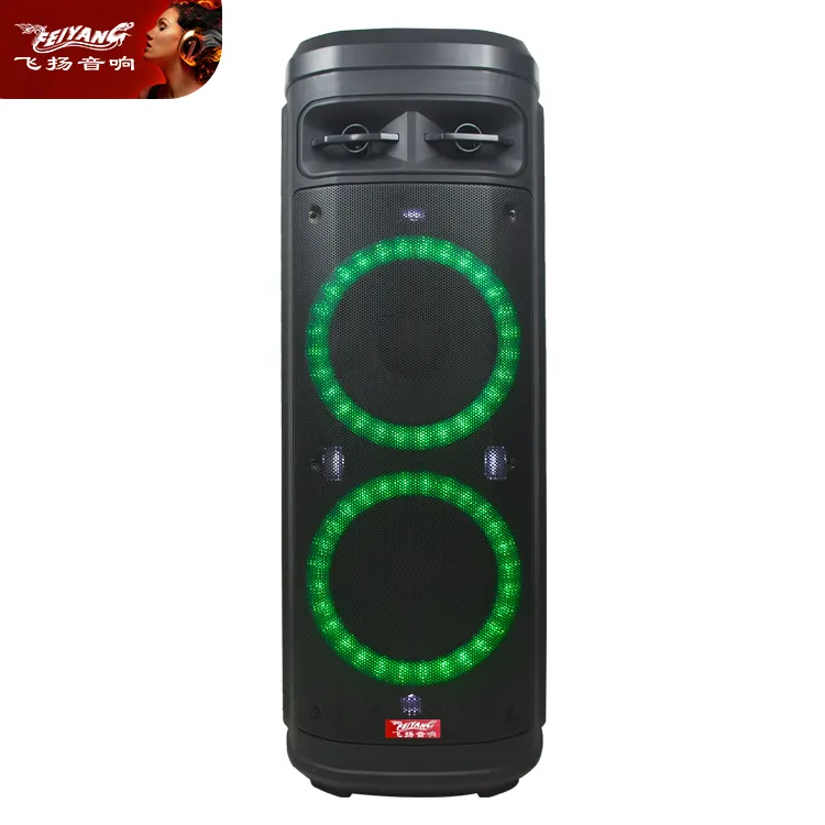 Barre de son de bureau DJ bass TV double 10 pouces PARTY bt chariot actif TWS LED MUSIC mp3 petit PA chariot haut-parleur système audio