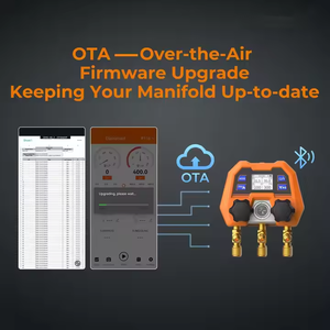 Manometro Digitale Intelligente Subverse DMG-4B con Aggiornamento Firmware OTA Remoto, Stile Tradizionale Moderno - Product Image 5