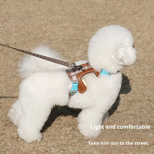 Anti-ontsnappings verstelbare sportwandelharnas en riem voor kleine honden, buitensportartikelen model - Product Image 5