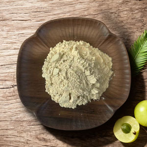Approvisionnement d'usine Cas 1401-55-4 Extrait de <span class=keywords><strong>fruit</strong></span> d'<span class=keywords><strong>Amla</strong></span> 60% Poudre de tanins - Product Image 4